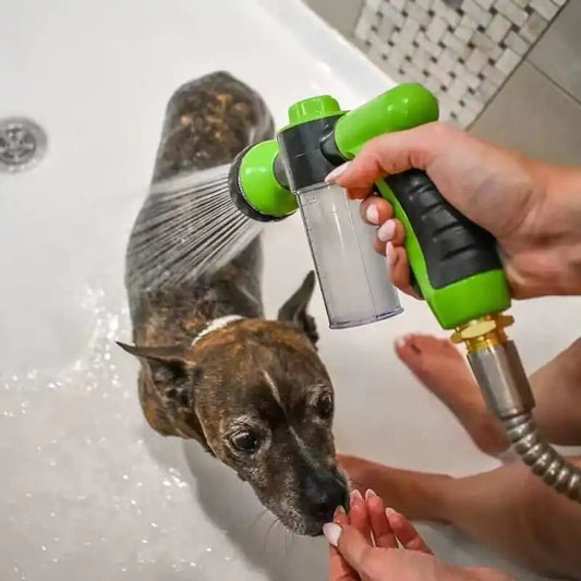 Jet spa pour chien