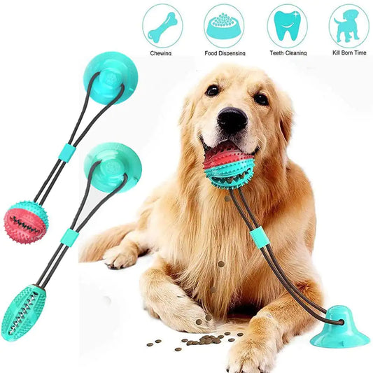 SuctionChew Dental Toy